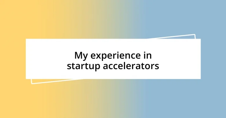 My experience in startup accelerators