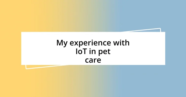 My experience with IoT in pet care